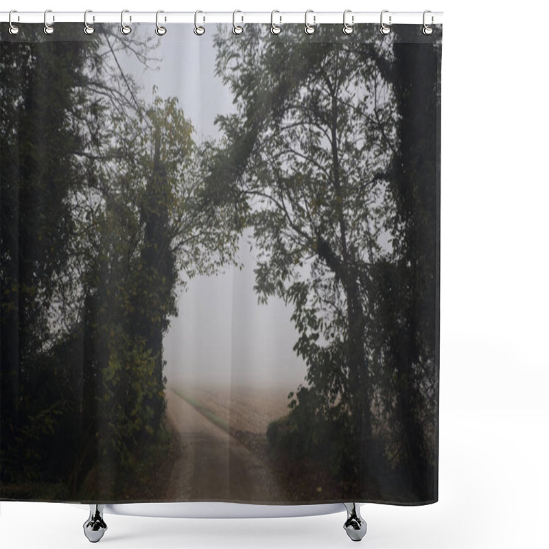 Personality  Country Road In A Grove Shower Curtains