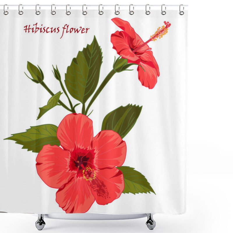 Personality  Hibiscus Flower  In Realistic Hand-drawn Style Isolated On White Background. Shower Curtains