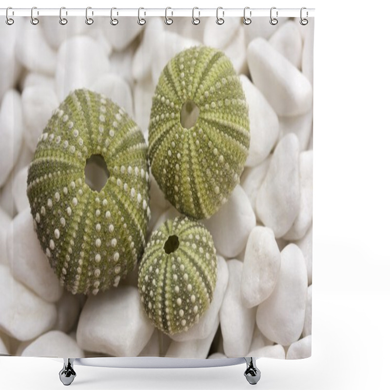 Personality  Sea Urchin Shells On Pebbles Shower Curtains