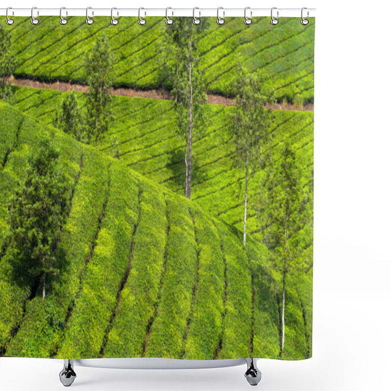 Personality  Tea Plantations In Munnar  Shower Curtains