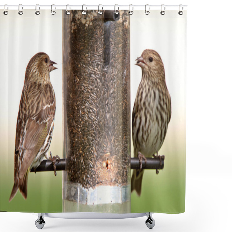 Personality  Song Sparrows At Bird Feeder Shower Curtains