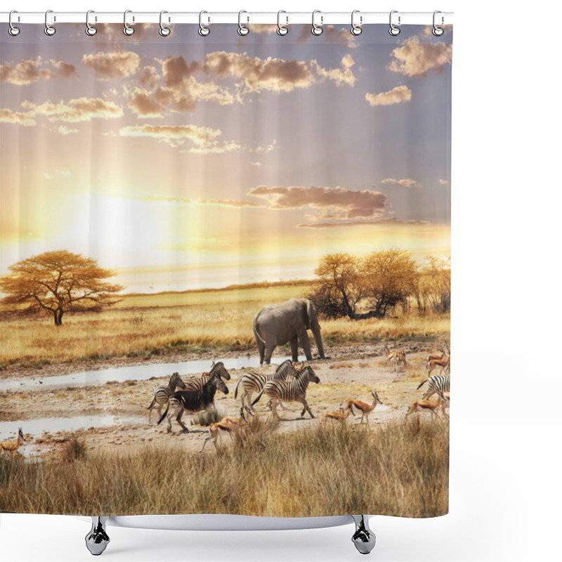 Personality  Safari In Namibia Shower Curtains