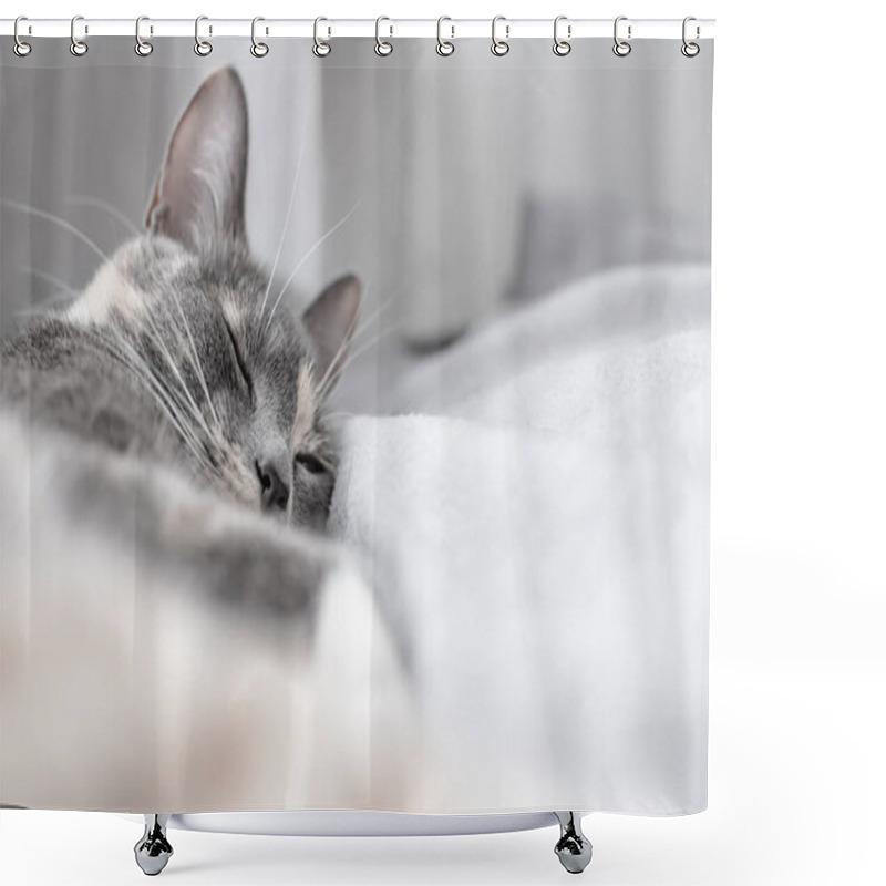 Personality  Young, Cute Cat Sleeps On A Soft, Warm Plaid. Close-up. Shower Curtains