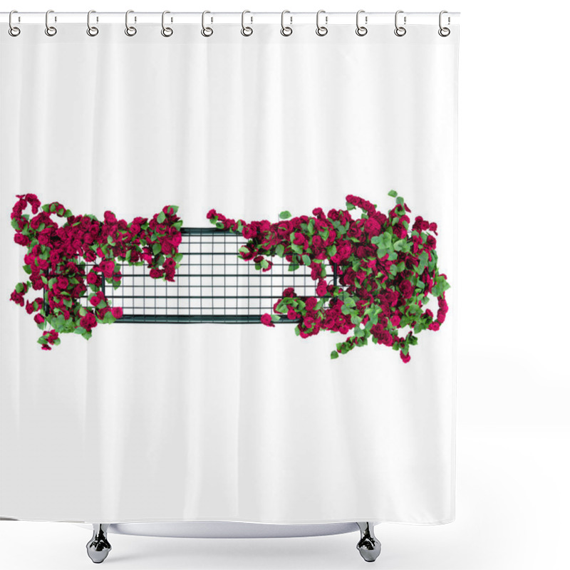 Personality  Arched Pergola Of Steel Shower Curtains