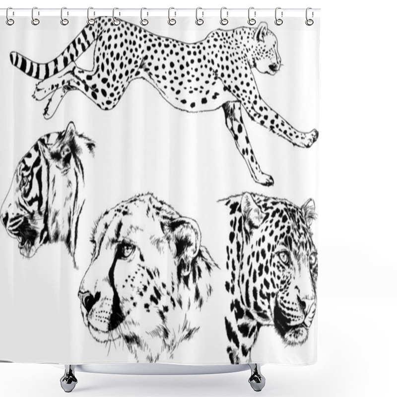 Personality  Set Of Vector Drawings On The Theme Of Predators Tigers Are Drawn By Hand With Ink Tattoo Logos Shower Curtains