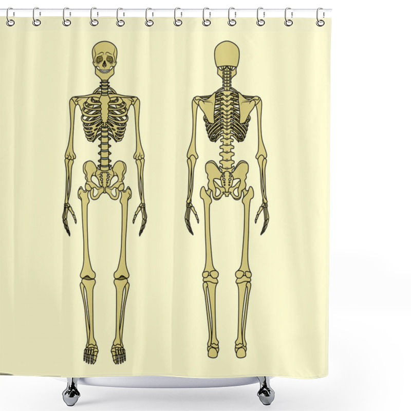 Personality  Human Skeleton, Front And Rear View. Shower Curtains