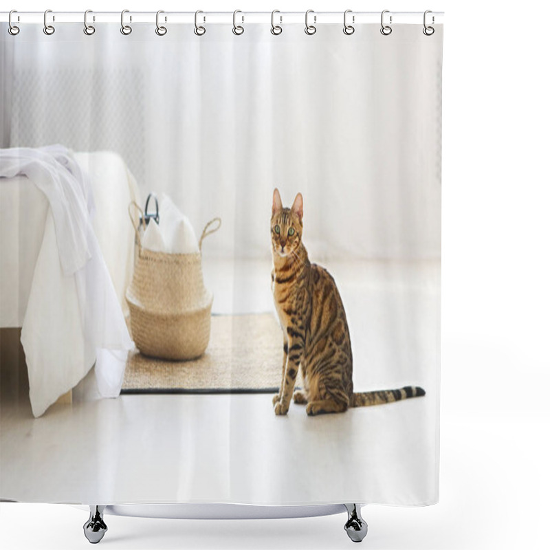 Personality  Bengal Cat With Green Eyes In The Bedroom In Light Tones Shower Curtains