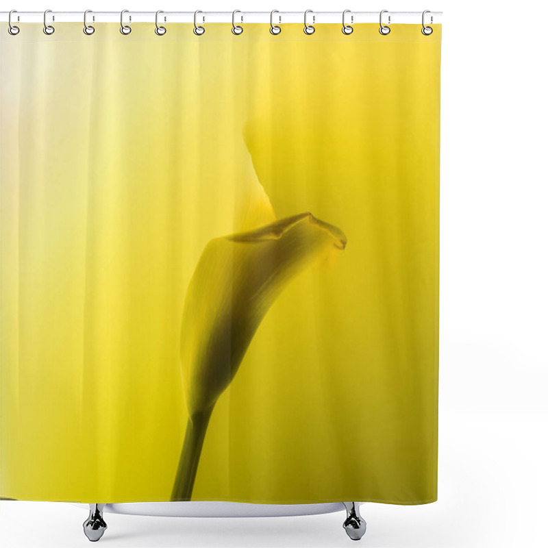 Personality  Close-up View Of Beautiful Calla Lily Flower In Abstract Yellow Paint Shower Curtains