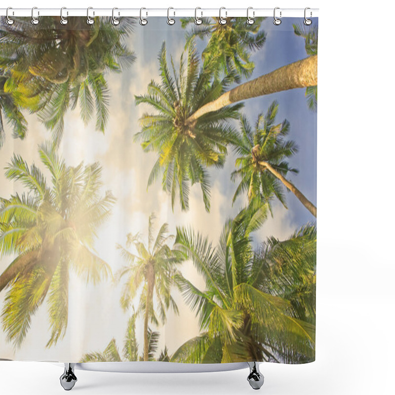 Personality  Coconut Palm Trees Shower Curtains