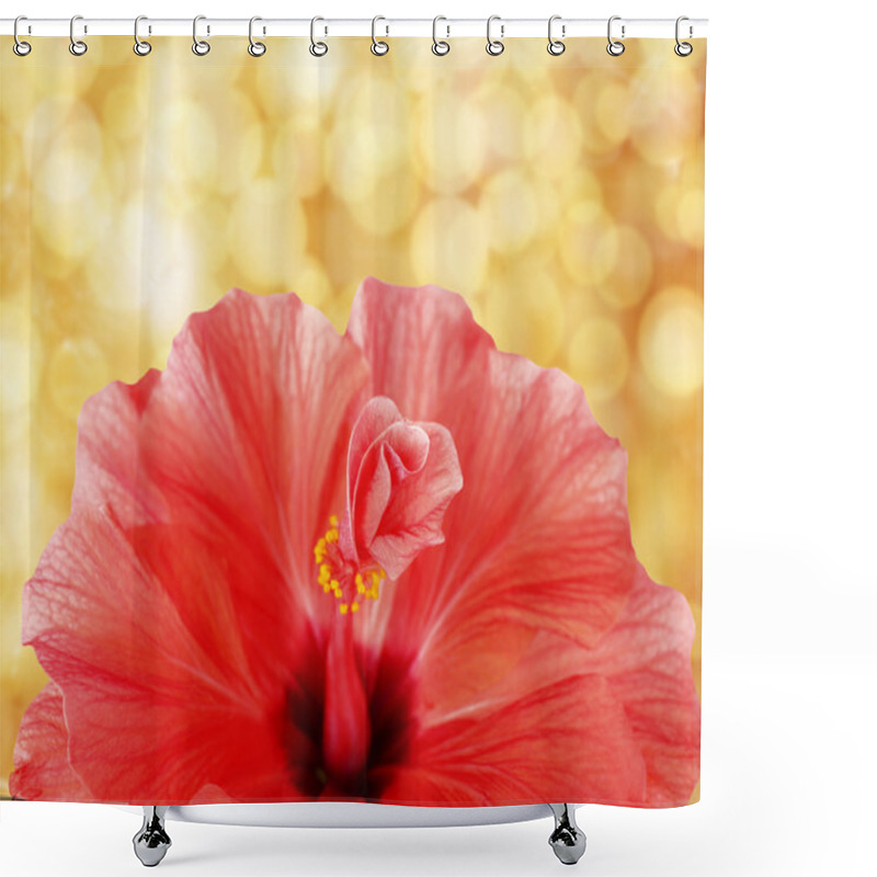 Personality  Background With Flower And Lights Shower Curtains