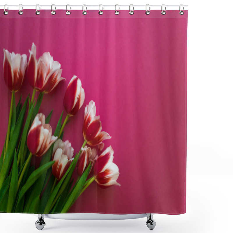 Personality  A Bouquet Of Fresh Tulips Lying On A Vivid Red Background. Mother Day And International Women Day Shower Curtains