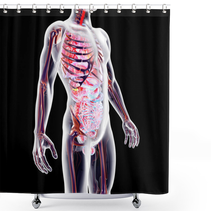 Personality  Internal Organs Shower Curtains