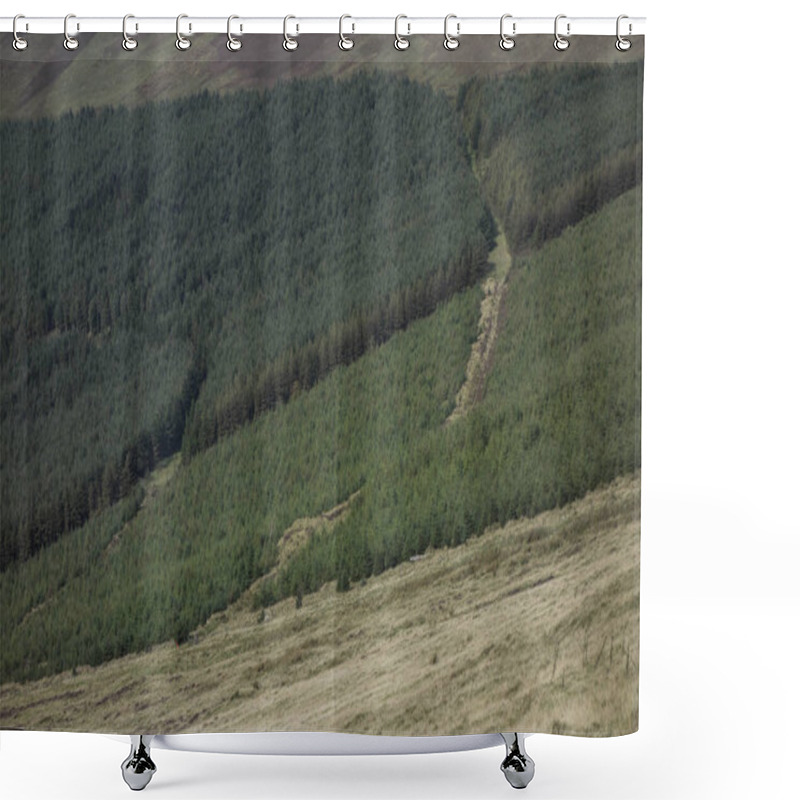 Personality  Reforestation Or Reafforestation In A Forest, Tree Planting And Growing Shower Curtains