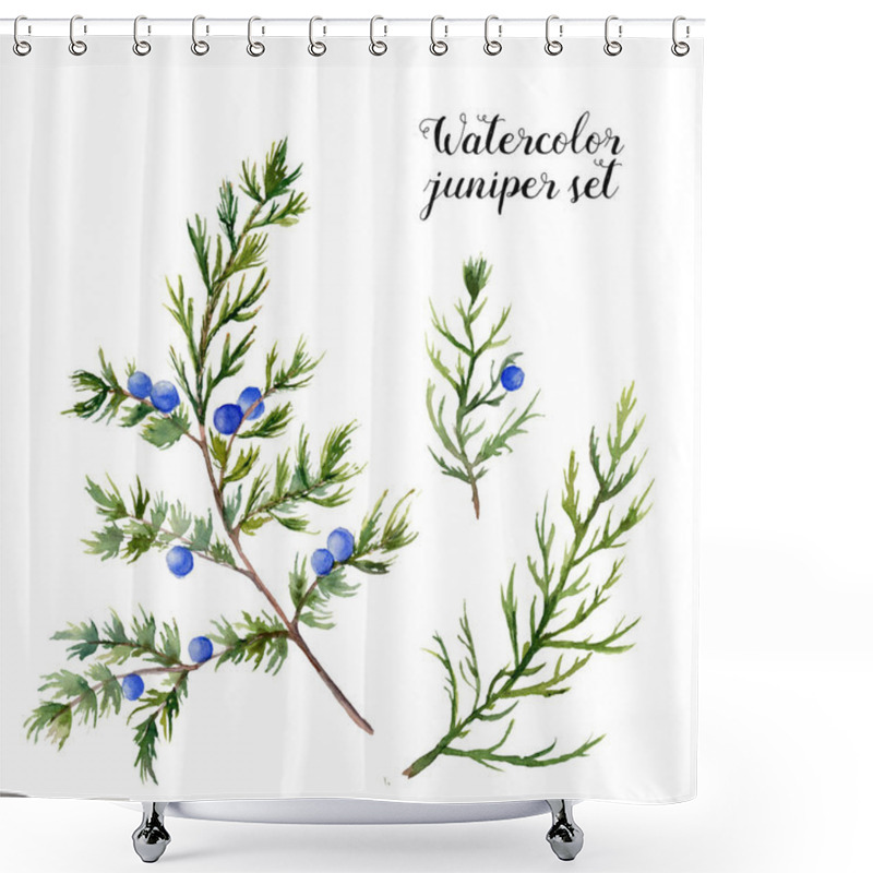 Personality  Watercolor Juniper Set. Hand Painted Evergreen Branch With Berries On White Background. Botanical Illustration For Design Or Print. Shower Curtains