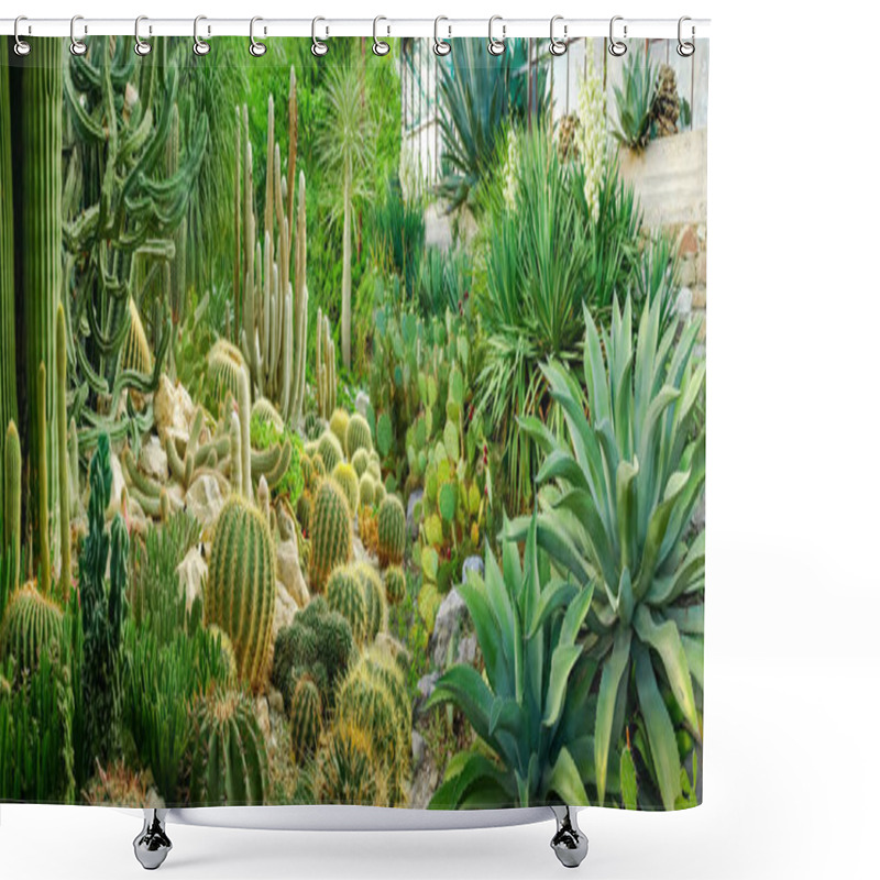 Personality  Different Cacti And Other Various Succulents In Greenhouse Of The Botanic Garden, Panoramic View Shower Curtains