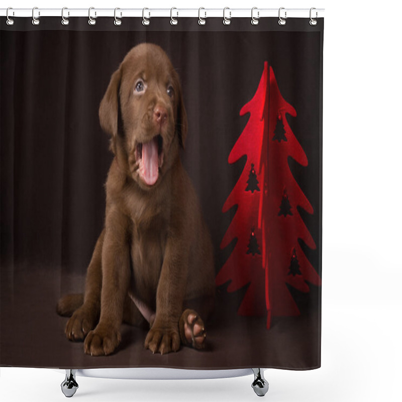 Personality  Chocolate Labrador Puppy Sitting On Brown Background Near The Christmas Tree And Yawns Shower Curtains