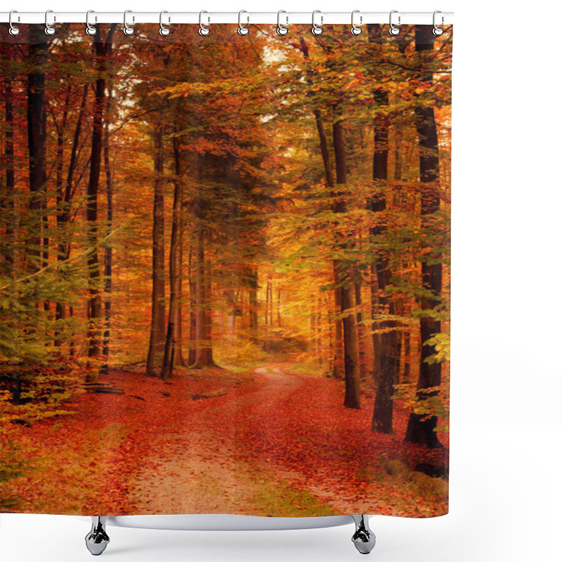 Personality  Autumn Forest Shower Curtains