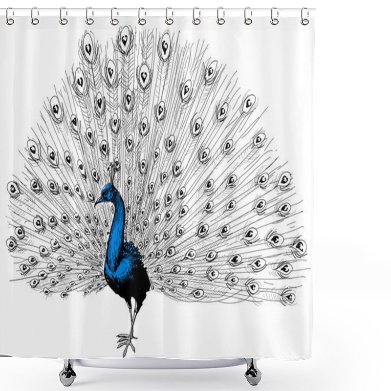 Personality  Peacock Isolated Hand Drawing  Shower Curtains