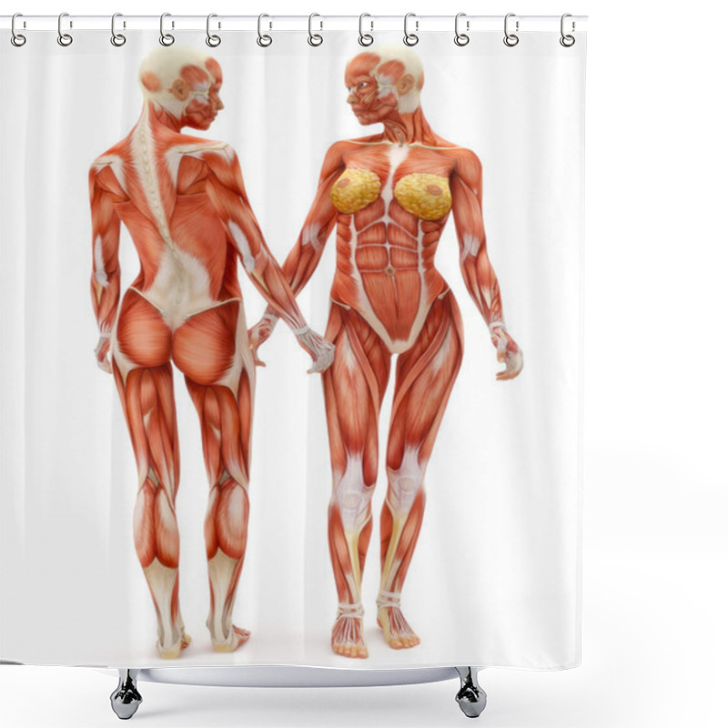 Personality  Female Musculoskeletal System Shower Curtains