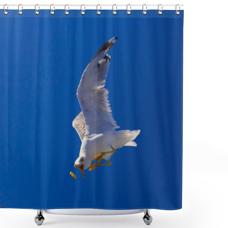 Personality  Feeding The Seagulls From The Ferry, Greece Shower Curtains