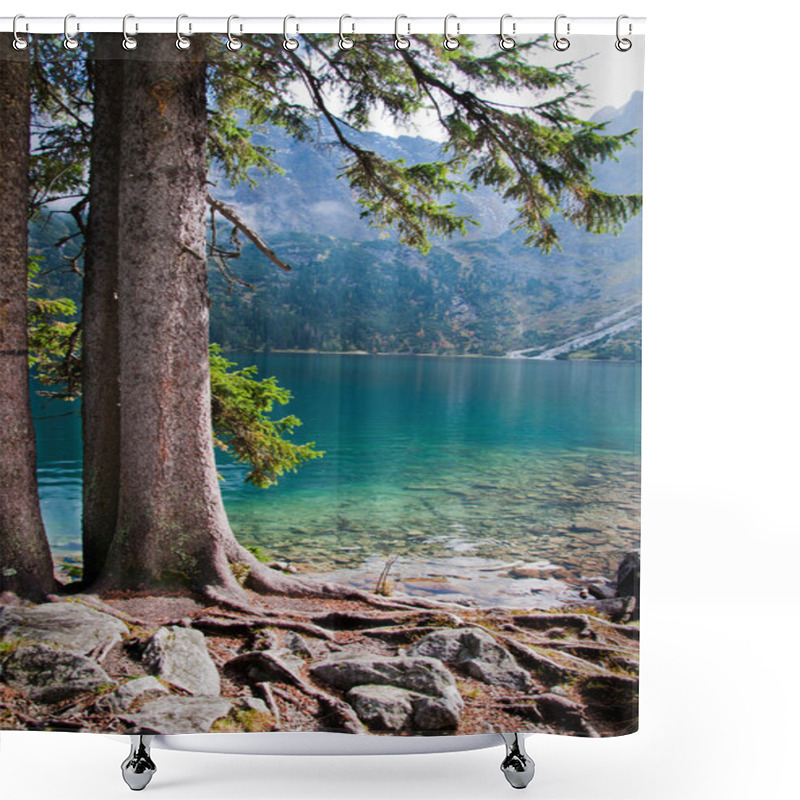 Personality  Pines Shower Curtains