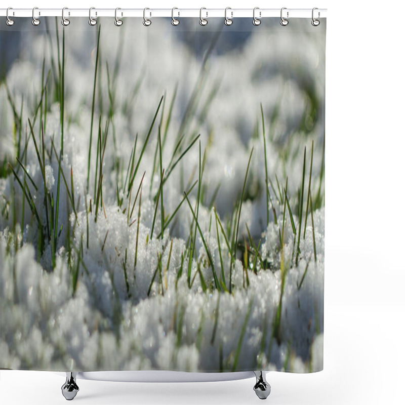 Personality  Growing Green Grass Under Snow. Shower Curtains