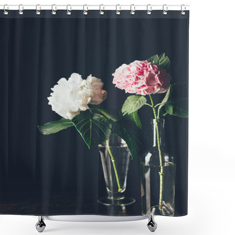 Personality  Pink And White Hortensia Flowers In Glass Vases, On Black Shower Curtains