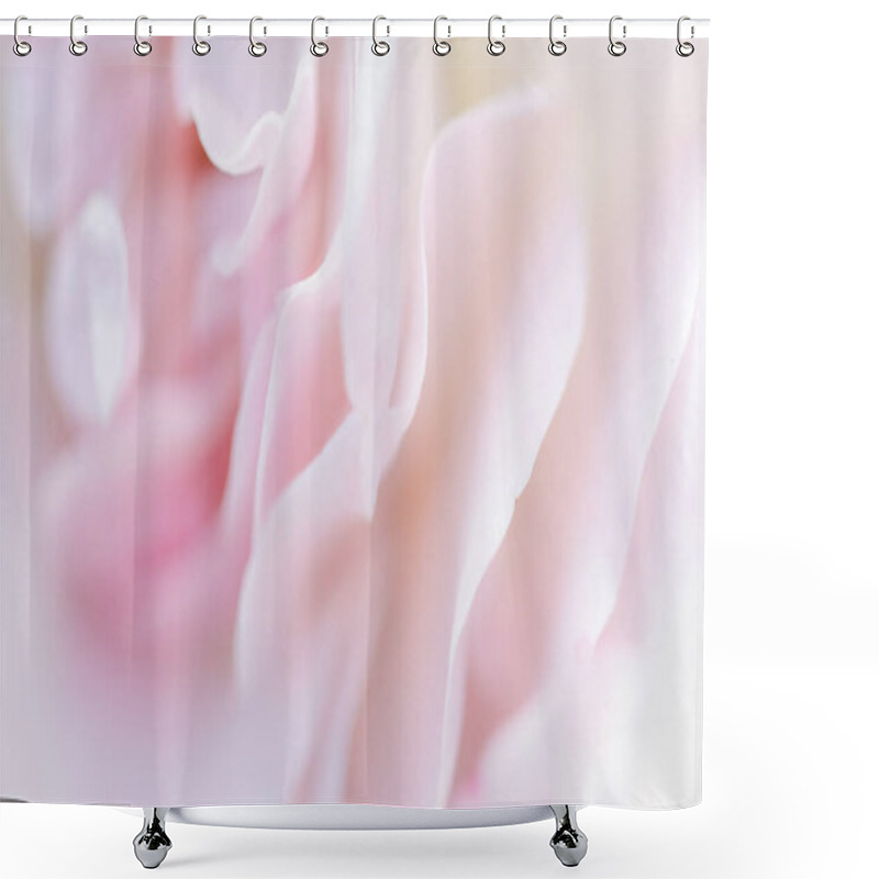 Personality  Botanical Concept, Invitation Card - Soft Focus, Abstract Floral Background, Pale Pink Rose Petals. Macro Flower Backdrop For Holiday Brand Design Shower Curtains