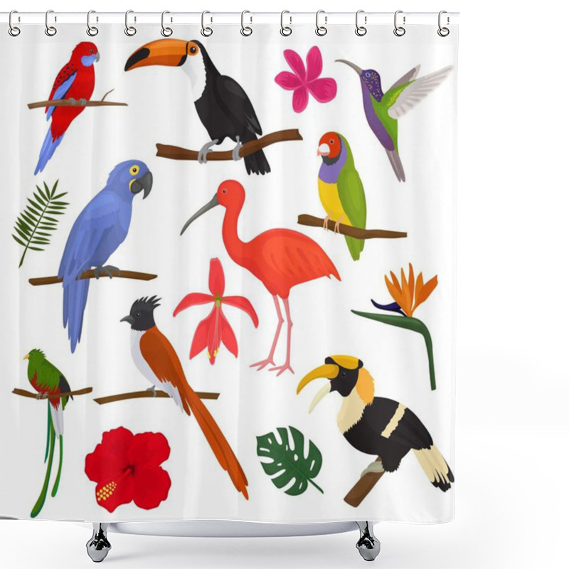 Personality  Tropical Birds Vector Exotic Parrot Toucan And Hummingbird With Palm Leaves Illustration Set Of Fashion Birdie Ibis Or Hornbill In Flowering Tropics Isolated On White Background Shower Curtains