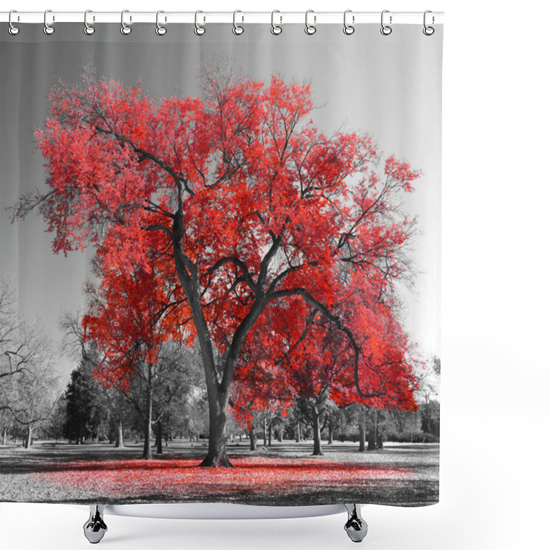 Personality  Big Red Tree Shower Curtains