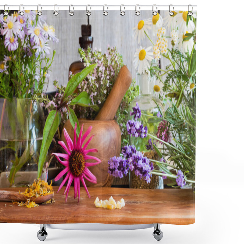 Personality  Echinacea, Lavender, Chamomile, Yarrow And Other Herbs Shower Curtains