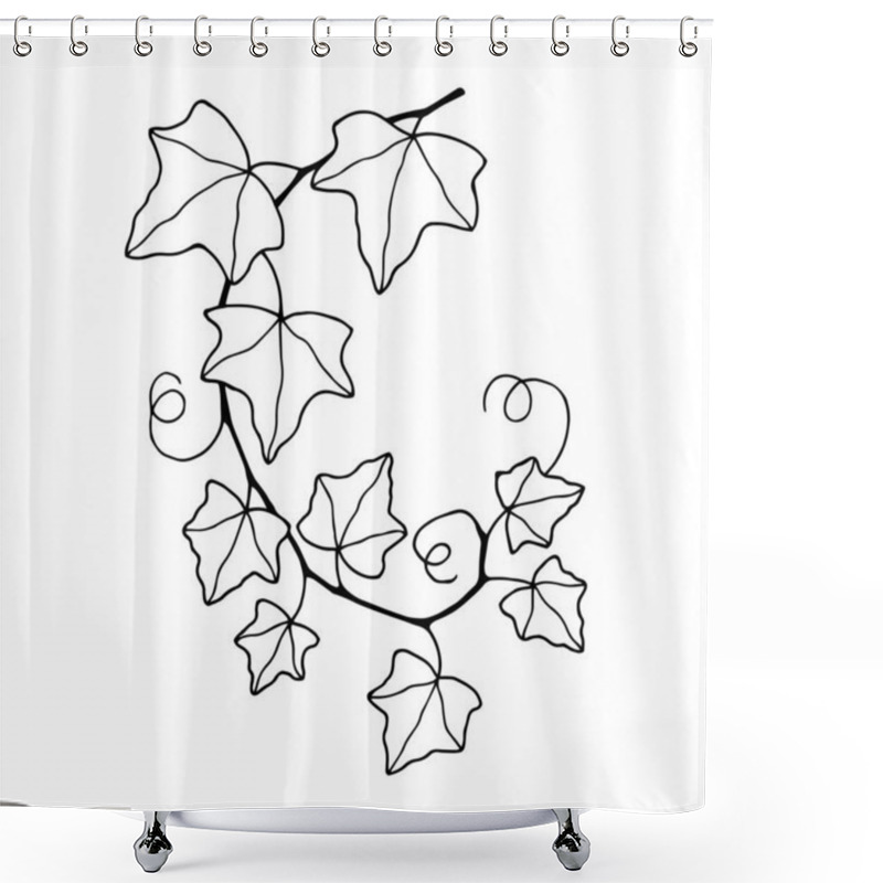 Personality  Common Ivy Plant. Vector Stock Illustration Eps10. Shower Curtains