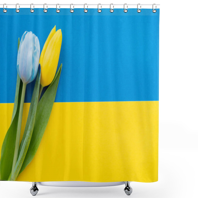 Personality  Top View Of Tulips With Leaves On Ukrainian Flag With Copy Space Shower Curtains