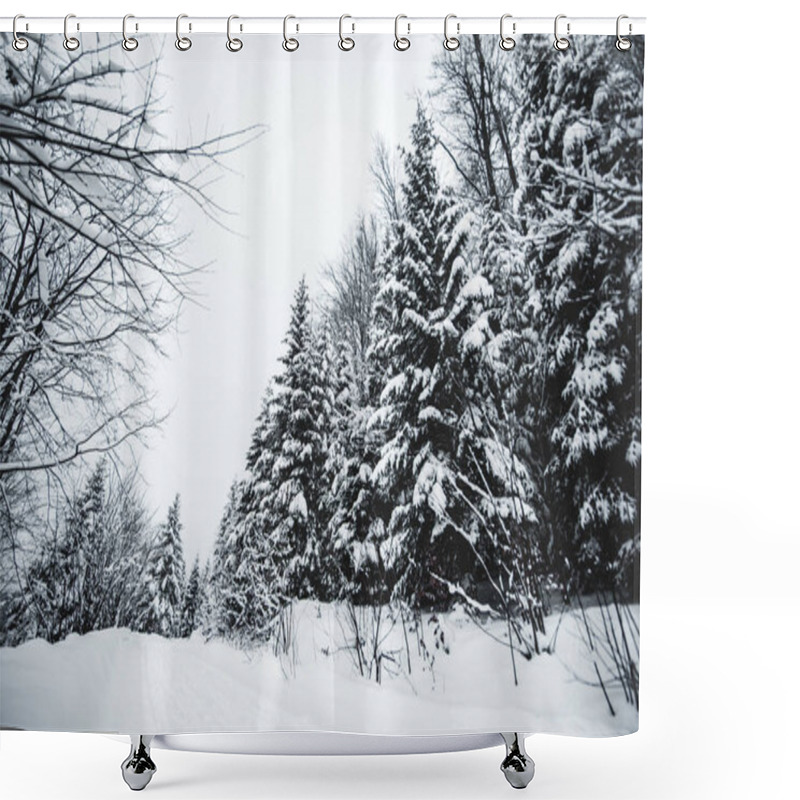 Personality  Road In Carpathian Mountains Covered With Snow Among Spruces  Shower Curtains