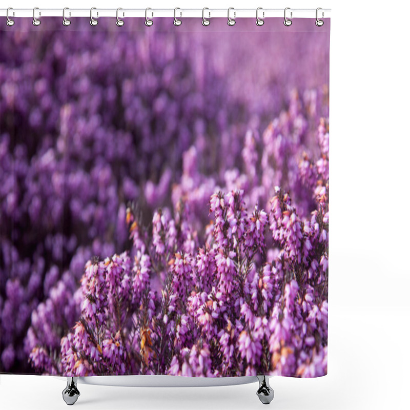 Personality  Flowering Erica Shower Curtains