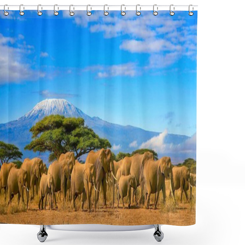 Personality  Kilimanjaro Tanzania African Elephants Safari Kenya Shower Curtains