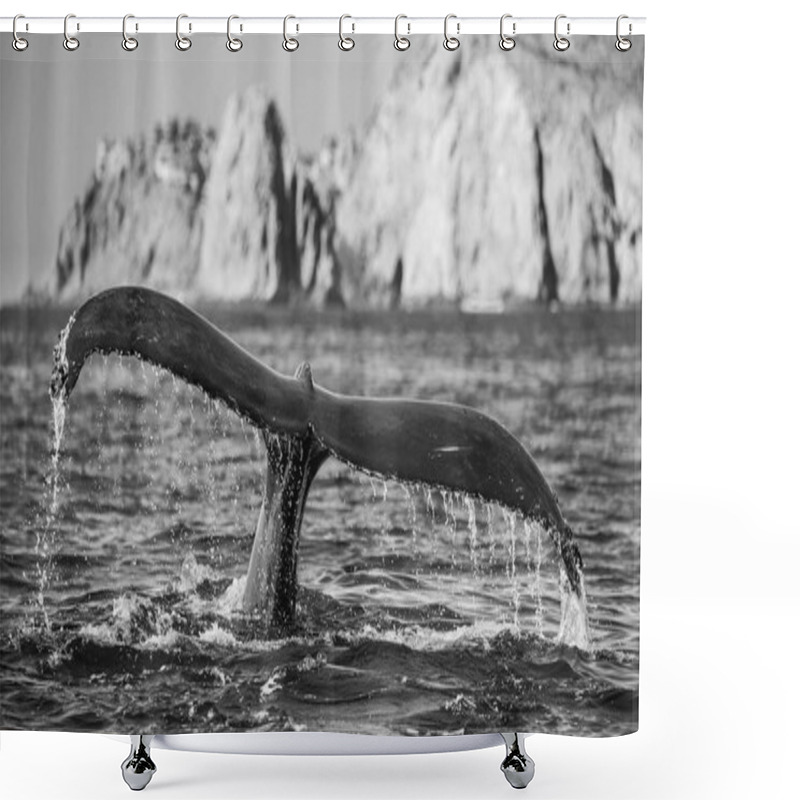 Personality  Tail Of Humpback Whale Shower Curtains