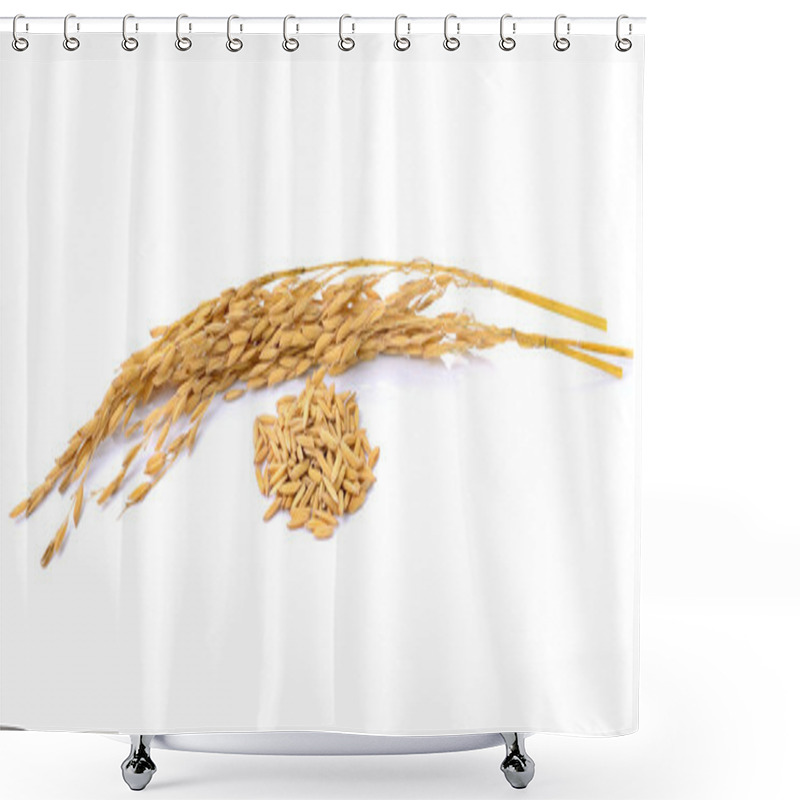 Personality  Paddy Jasmine Rice On White Background Shower Curtains