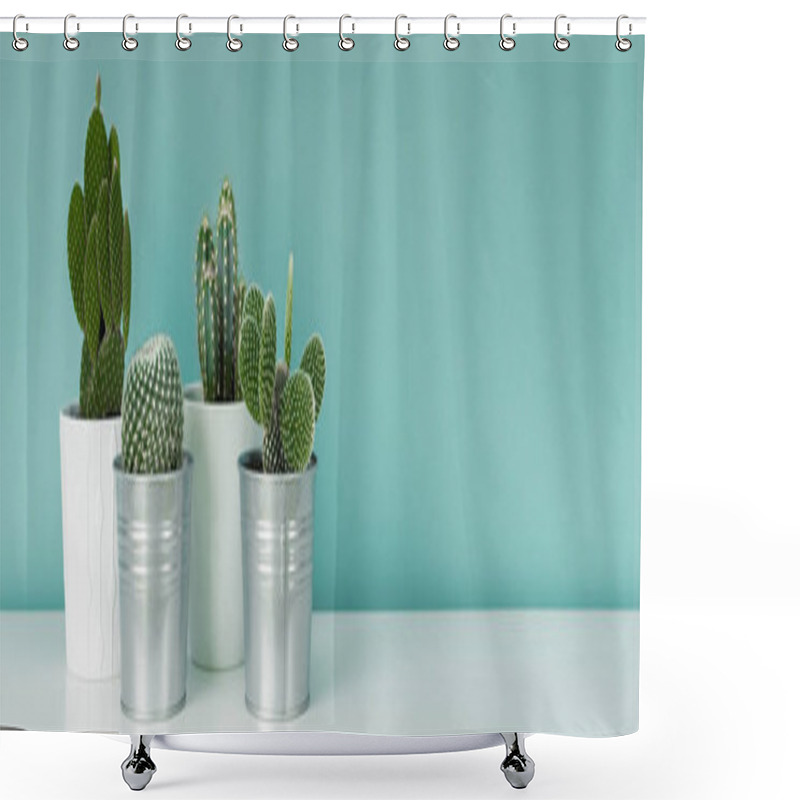 Personality  Modern Room Decoration. Collection Of Various Potted Cactus House Plants On White Shelf Against Pastel Turquoise Colored Wall. Cactus Plants Banner. Shower Curtains