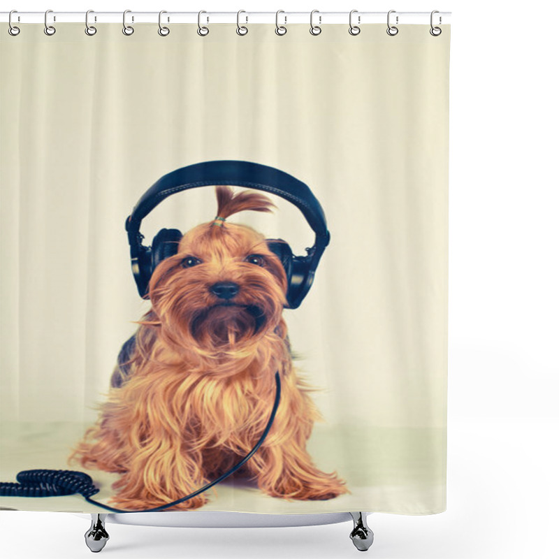 Personality  Funny Dog With Headphones Shower Curtains