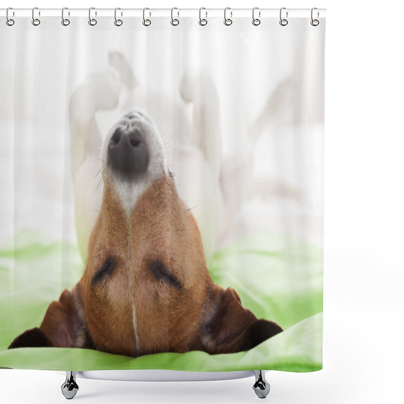 Personality  Dog In Bed  Shower Curtains