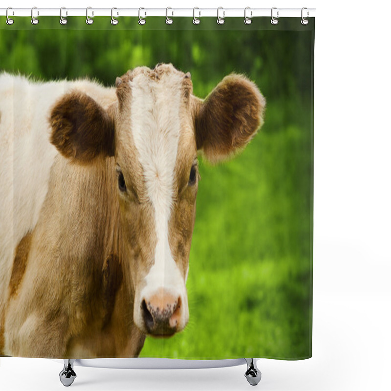 Personality  Calf Shower Curtains