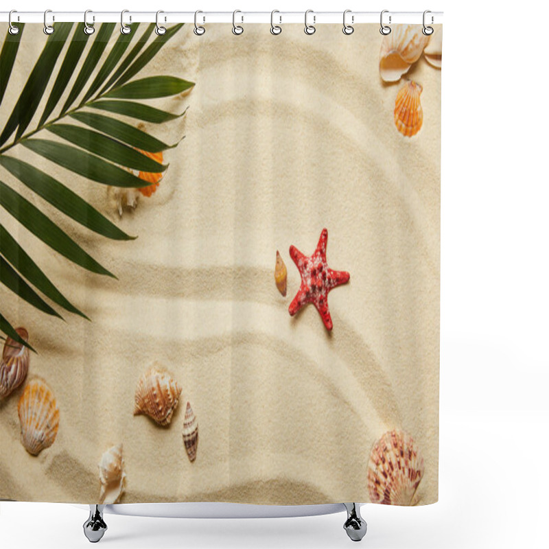 Personality  Top View Of Green Palm Leaf Near Red Starfish And Seashells On Sandy Beach  Shower Curtains