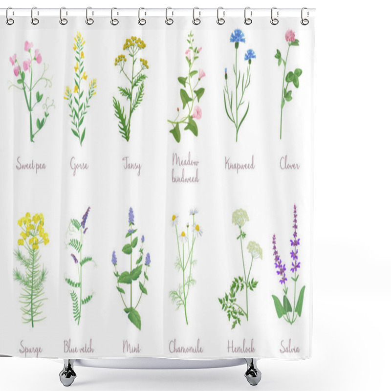 Personality  Wild Herbs Set With Names Isolated. Wildflowers, Herbs, Leafs. Garden And Wild Foliage, Flowers, Branches Vector Illustration. Shower Curtains