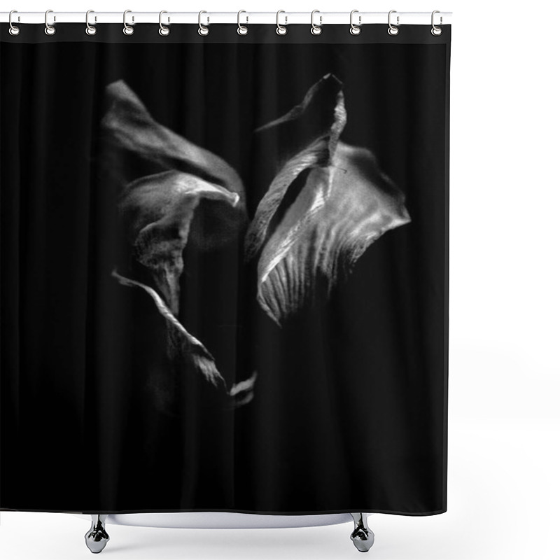 Personality  Dried White Flower. Image In Black And White. Shower Curtains