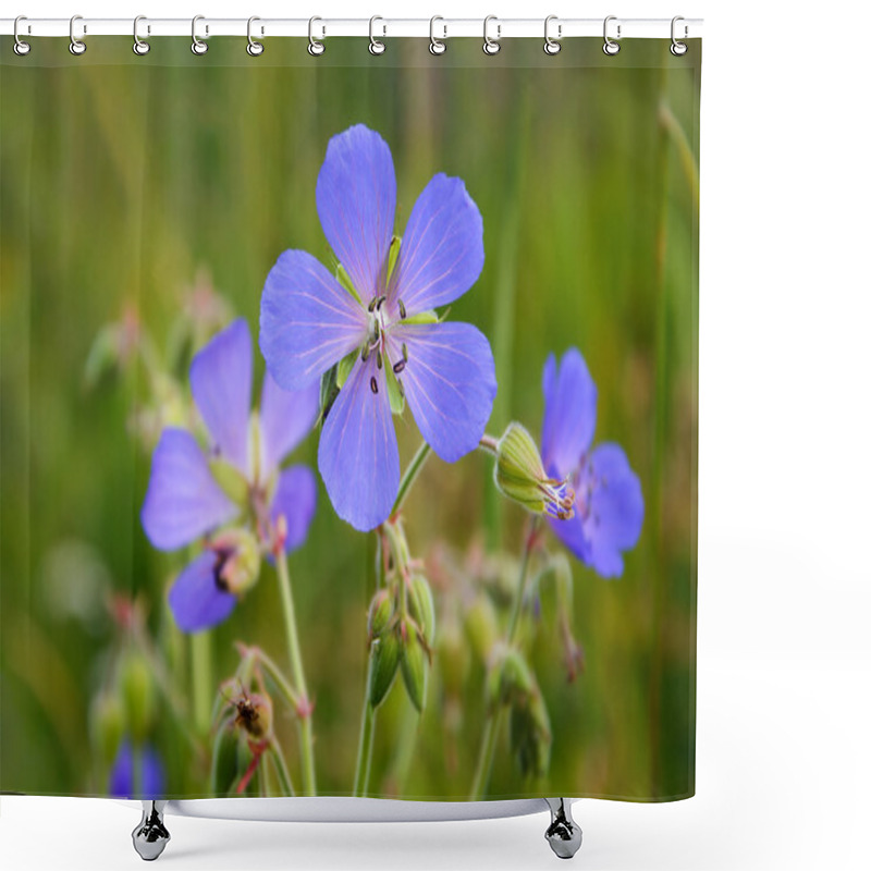 Personality  The Meadow Geranium ( Geranium Pratense) Shower Curtains