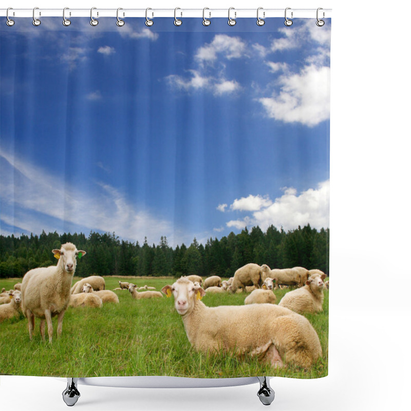 Personality  Sheep Shower Curtains