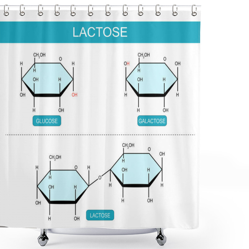 Personality  Galactose, Glucose, And Lactose Molecules. Molecular Chemical Structural Formula And Model Of Disaccharide. Monosaccharide. Sugar Metabolism. Energy Source. Milk Sugar. Brain Fuel. Lactose Intolerance. Dietary Sugar. Vector Illustration Shower Curtains