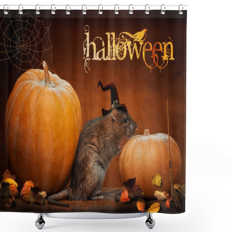 Personality  Wild Rat With Pumpkins Shower Curtains