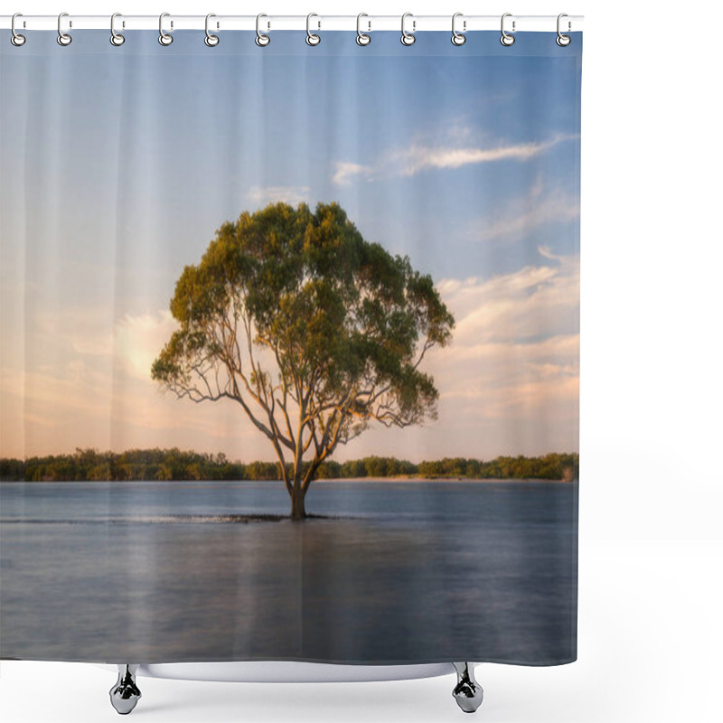 Personality  Lonely Tree In Water  Shower Curtains